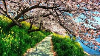 Spring Nature Photos