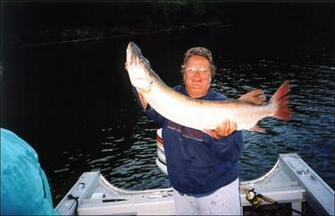 Kentucky Mountain Muskie Cave Run Lake Musky Tattoo Design