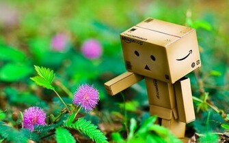 Danbo Wallpaper HD