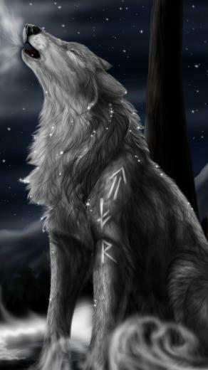 Galaxy Wolf Wallpaper