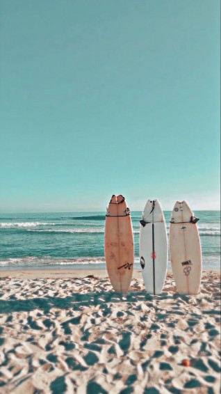 Background In Summer Beach Wallpaper Cute