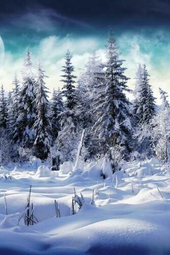 Winter Wonderland iPhone Wallpaper Image Pictures Becuo