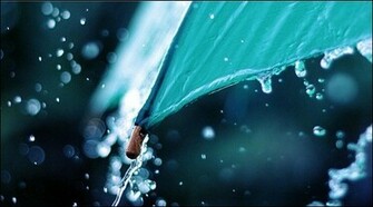 Summer Raindrops Close Up HD Desktop Wallpaper