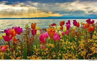 Spring Desktop Wallpaper Top Background