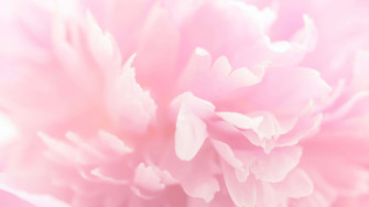 Aesthetic Computer Light Pink Wallpaper