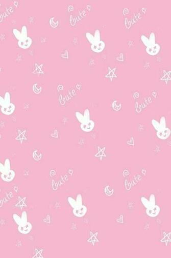 Cute iPhone Wallpaper Camera Information
