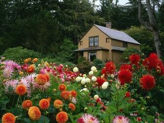 Cottage HD Wallpaper Background Image