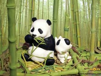 Cartoon Panda Wallpaper Pictures