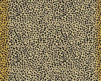 Wallpaper Cheetah