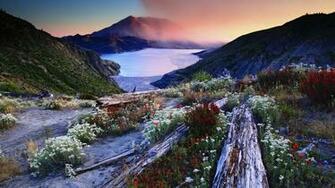 Spring In Cold Mountain Wallpaper