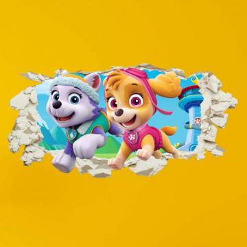 Greatdealsandgifts Paw Patrol Skye Everest Smashed Wall Crack Kids
