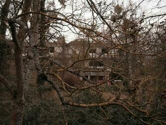 Nature Ruins Forest Normal