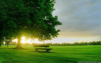 Cu Un Rasarit Primavara Amazing Spring Sunrise Desktop Wallpaper
