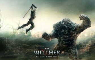 The Witcher Launched For Pc Last Week And Although Cd Projekt Had