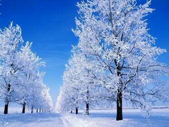 Winter Scenes Great Snowy Scene Desktop