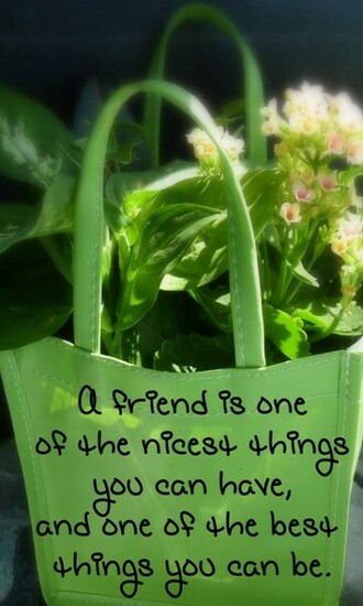 Love Quotes Wallpaper For Mobile