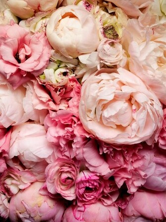 Peonies Via Houseobsession Wordpress