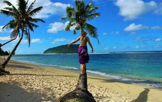 My Tree In The Samoa Island Wallpaper HD