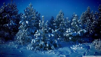 Christmas Fairyland Wallpaper