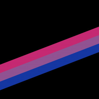 Diagonal Bi Flag Wallpaper