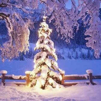 Christmas iPad Air Wallpaper HD Retina And