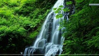 Movement In Nature Oregon Wallpaper