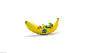 Chiquita With Frog Funny Fun Wallpaper Cute