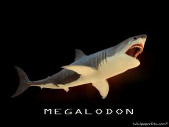 Megalodon Wallpaper Picture HD