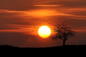 Countryside Dramatic Evening Landscape Natural Nature