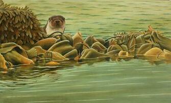 Desktop Wallpaper Animal Wild Life Art