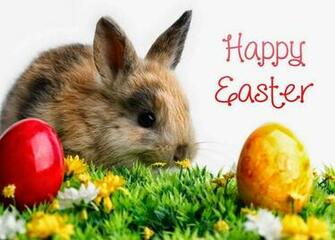 Great Collection Of Easter HD Wallpaper Quotes