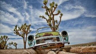 Abandoned Car On The Logs Wallpaper