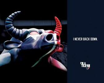 Houston Texans Image Graphic Code