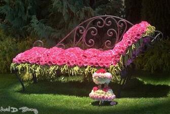 Bed Of Roses