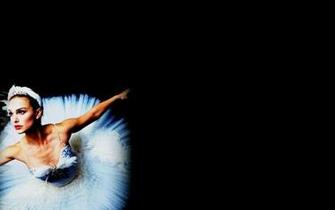 Black Swan Wallpaper Photos Pack V 538ow