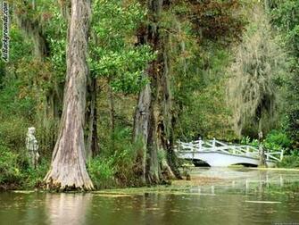 South Carolina Background Myspace