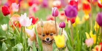 HD Wallpaper Mart High Quality Pictures