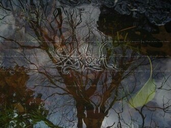 Agalloch Wallpaper