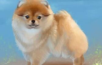 Wallpaper Figure Dog Art Painting Dogs Spitz Image