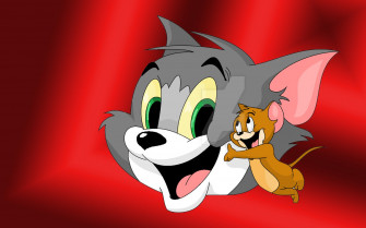 Tom And Jerry Picture Close Ups HD Wallpaper