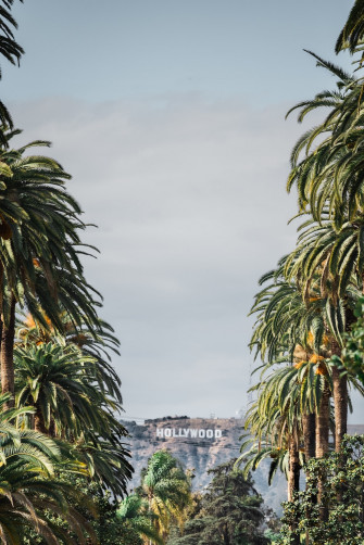 Green Palm Trees Near White Concrete Building Under Clouds