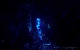 Duke Blue Devils Wallpaper Zwallpix