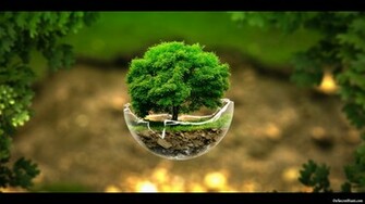 Nature Wallpaper Beautiful