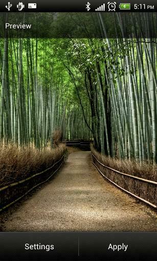 Natural Forest Live Wallpaper For Android By Popular Device