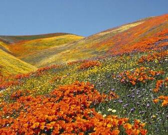 Wallpaper Spring Landscapes Nature Landscape Size Type Jpg