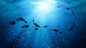 Deep Sea Wallpaper