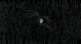 Hacking Linux Wallpaper At Wallpaperbro