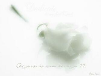 Black Pearl White Papel De Parede Sobre