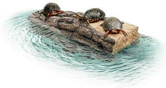 Reptile Products Care Information Zilla