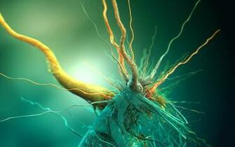 Bacteria Molecule Wallpaper For Widescreen Desktop Pc